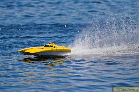 Enlarge photo 120