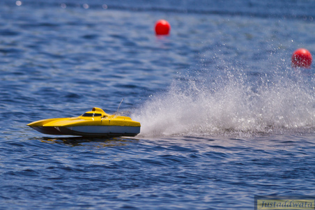 Enlarge photo 142