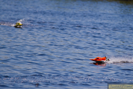 Enlarge photo 195