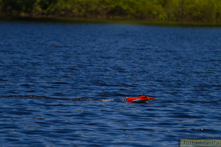 Enlarge photo 213