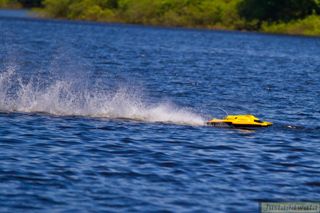 Enlarge photo 232