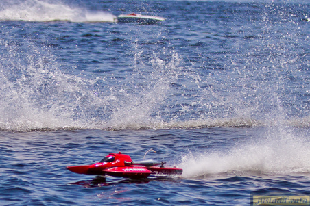 Enlarge photo 354