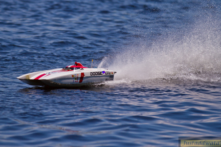 Enlarge photo 426