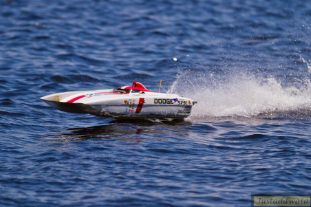 Enlarge photo 442
