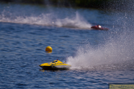 Enlarge photo 499