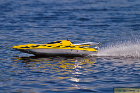 Enlarge photo 509