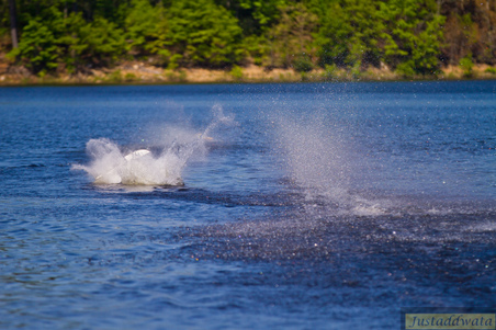 Enlarge photo 757