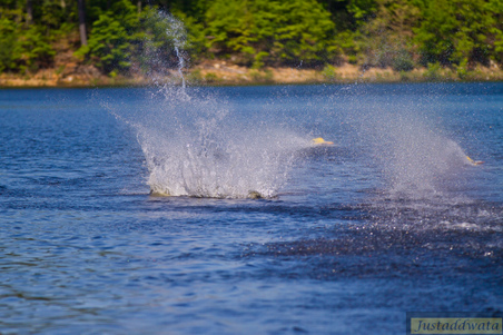 Enlarge photo 759