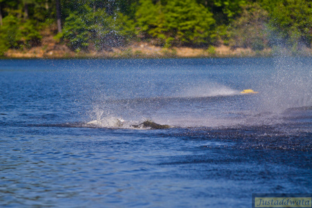 Enlarge photo 760