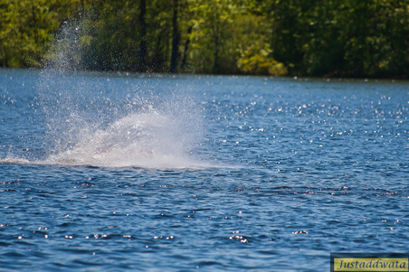 Enlarge photo 29