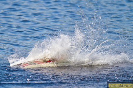 Enlarge photo 35