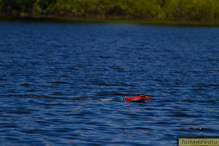 Enlarge photo 51