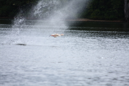 Enlarge photo 36