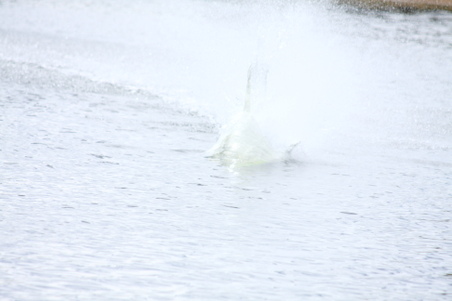 Enlarge photo 153
