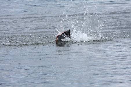 Enlarge photo 165