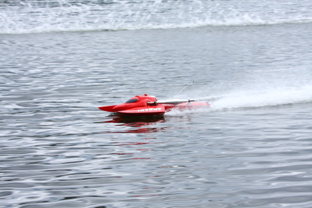 Enlarge photo 170