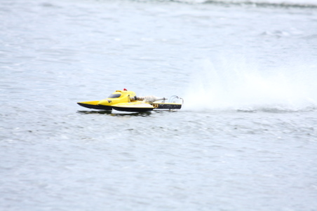 Enlarge photo 175