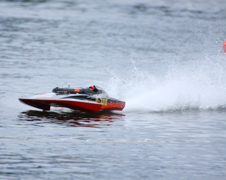 Enlarge photo 225