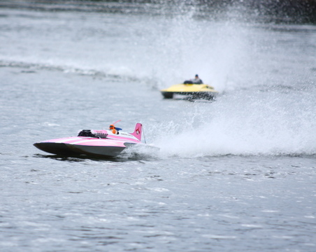 Enlarge photo 229
