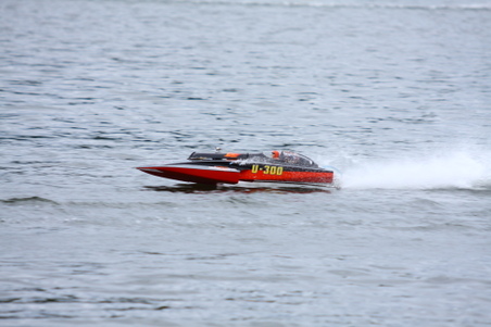Enlarge photo 232