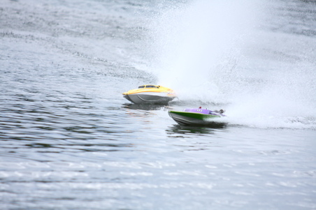 Enlarge photo 255