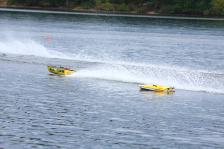 Enlarge photo 262