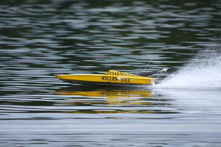 Enlarge photo 279