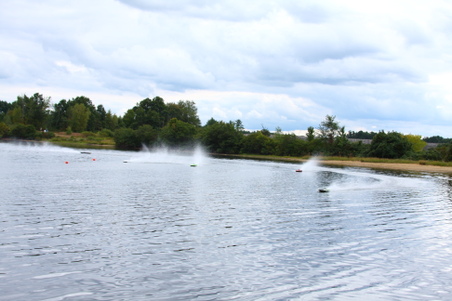 Enlarge photo 308
