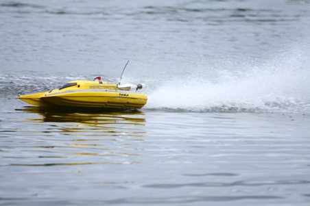 Enlarge photo 328