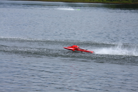 Enlarge photo 335