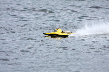 Enlarge photo 338