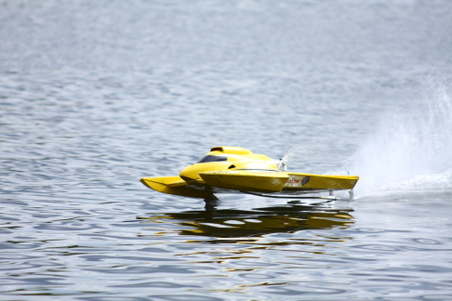 Enlarge photo 352