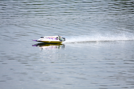 Enlarge photo 354