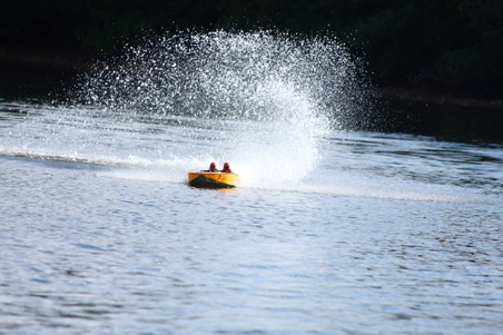 Enlarge photo 386