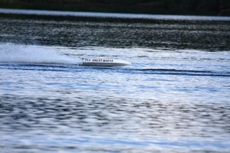 Enlarge photo 407