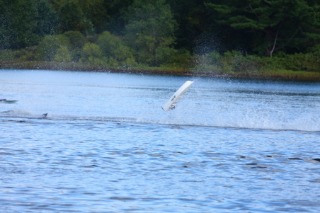 Enlarge photo 415