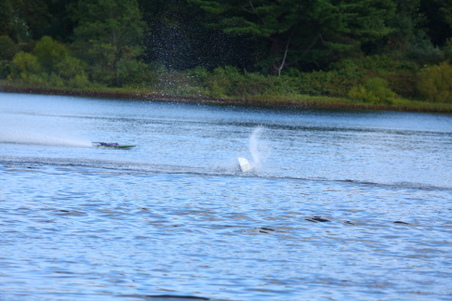 Enlarge photo 417