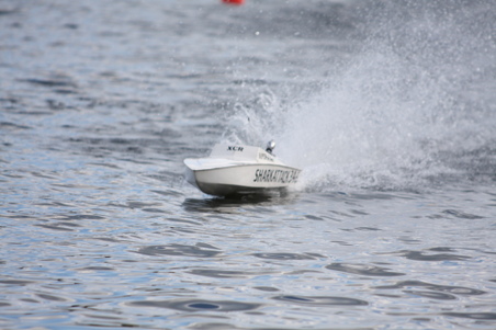 Enlarge photo 441