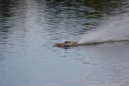 Enlarge photo 443