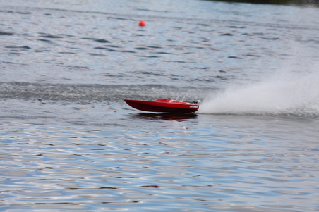 Enlarge photo 448