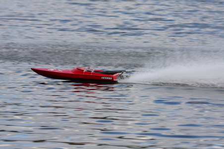 Enlarge photo 449