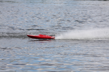 Enlarge photo 451
