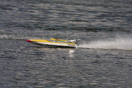 Enlarge photo 459