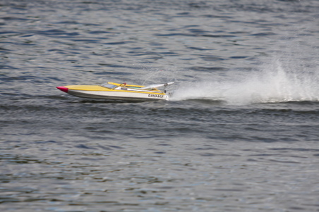 Enlarge photo 467