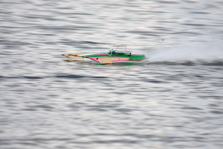 Enlarge photo 478