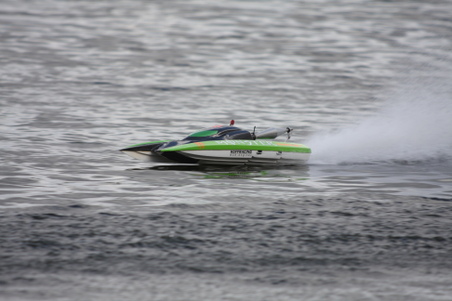 Enlarge photo 482