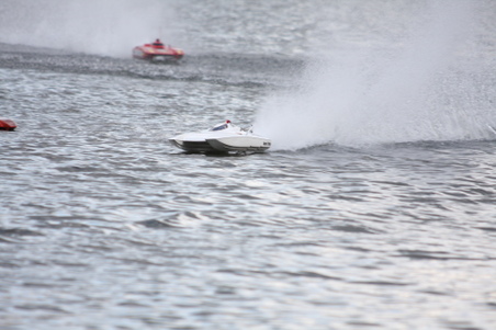 Enlarge photo 485