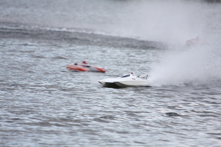 Enlarge photo 486