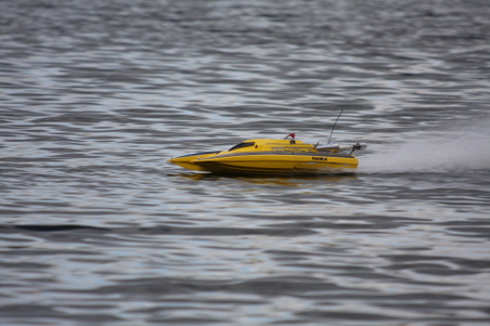 Enlarge photo 494