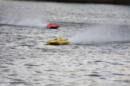 Enlarge photo 497